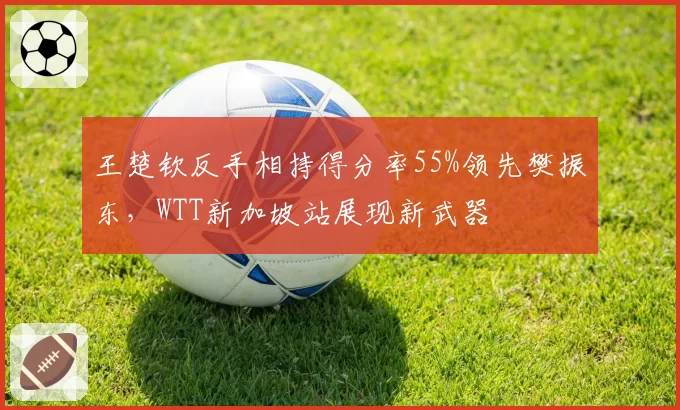 王楚钦反手相持得分率55%领先樊振东，WTT新加坡站展现新武器